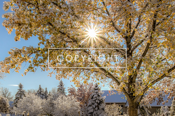 Frosty glare
