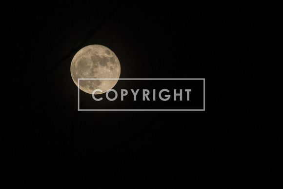 Full moon